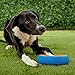 Chuckit! Fetch Wheel Outdoor Dog Toy, Large, For Large Breeds