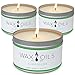 Scented Candles – Evergreen (Pack of 3) Soy Aromatherapy Candles, 8ozthumb 3