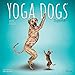Yoga Dogs Together 2019 12 x 12 Inch Monthly Square Wall Calendar, Animals Humor Dog