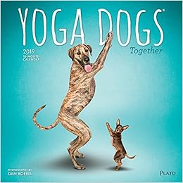 Yoga Dogs Together 2019 12 x 12 Inch Monthly Square Wall Calendar, Animals Humor Dog