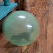 eugene talmond hamster ball