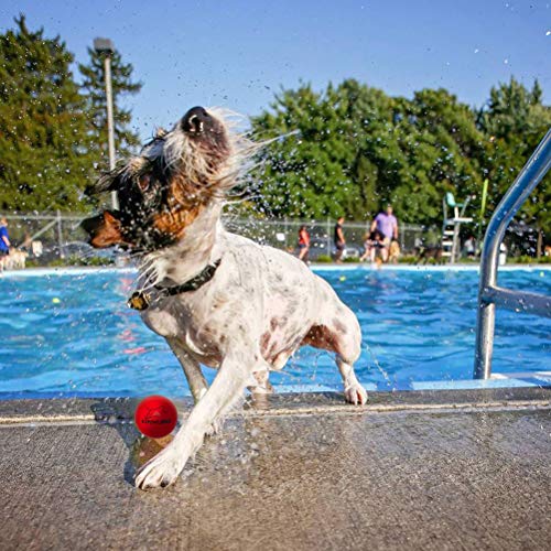EXPAWLORER 12 Pack Floatable Dog Rubber Bouncy Balls Floating Fetch Toy