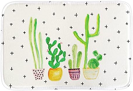 JT Funny Mats Cute Art Painting Cactus Plants Doormat Indoor Outdoor Floor Rugs Mat Collection For Living Room Bedroom Home Decor Short Plush Fabric 16"x23.6"Inch