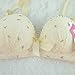 Etosell Women's Embroidered Flowers Bra and Panty Set Cotton Chiffon Push-up gather Brassiere