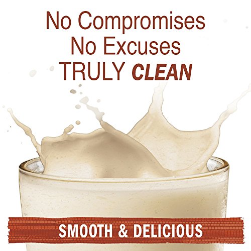 Garden of Life Raw Organic Protein Vanilla Chai - Image 7