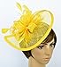 Womens Formal Party Fascinator Hat with Headband for Cocktail Yellow