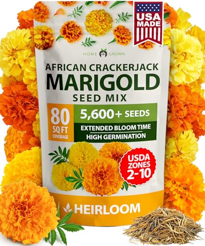 HOME GROWN African Marigold Seeds