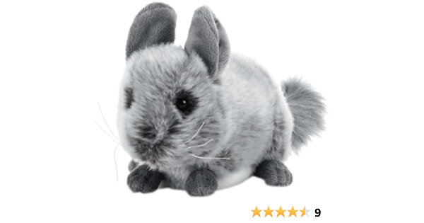 farmina struvite cat