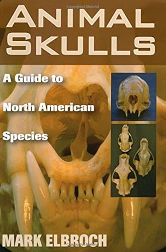 Download Animal Skulls: A Guide to North American Species PDF