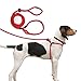 Harness Lead No Pull Dog Harness and Leash Set, Anti Pull Dog Harness for All Breeds and Sizes, One-Piece Cushioned Rope Design Safely Prevents Escaping and Pulling (Medium/Large, Red/Reflective)