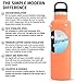 Simple Modern 20oz Ascent Water Bottle - Hydro Vacuum Insulated Tumbler Flask w/Handle Lid - Double Wall Stainless Steel Reusable - Leakproof -Grapefruit