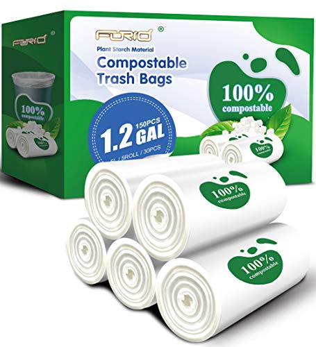 david jones longchamp