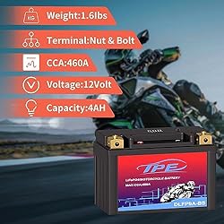 TPE Lithium Motorcycle Scooter Battery LiFePO4