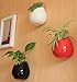 Moyishi Mini Decorative Ceramic Hanging Planter Flower Pot Water Planter Plant Vase (White1)