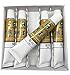 Easyou Marie's Big Size Chinese Painting Color Tubes Watercolor Drawing 12ml*5pcs Titanium White