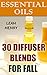 Essential Oils: 30 Diffuser Blends For Fall