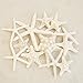Tumbler Home Pencil and Knobby Starfish 2