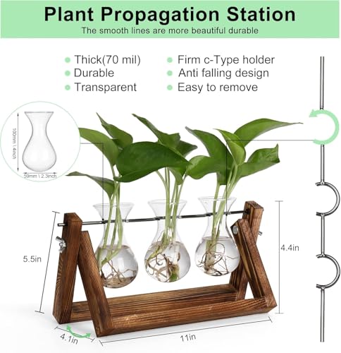 Sepper Estación de propagación de Plantas, Terrario con Soporte Madera Jarrón Hidropónica Florero Cristal, Jarrones Vidrio Macetas con 3 Bombillas para Interior Decoración Mesa Oficina Casa Jardín