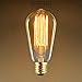 12-Pack Edison Light Bulb 40W - Vintage Squirrel Cage Filament Amber Glass Incandescent Lamps - Antique Vintage Old Fashion ST64 2200K Warm White E26 Dimmable
