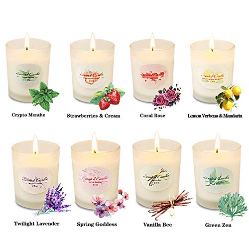 Y YUEGANG Gifts for Women, Scented Candles Natural Soy Wax, 8 x 2.5 Oz Portable Glass Candles with Strongly Fragrance Essential Oils for Stress Relief and Aromatherapy – 8 Pack