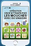 OPERATION ON N'ATTRAPE PAS LES MOUCHES AVEC DU VINAIGRE: Ou comment Théo reconnecte sa famille grâ by Marie LAMBERT