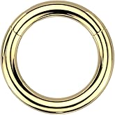 Pierced Owl 12GA-8GA Large Gauge F136 Implant Grade Titanium 10mm Diameter Hinged Segment Clicker Ring