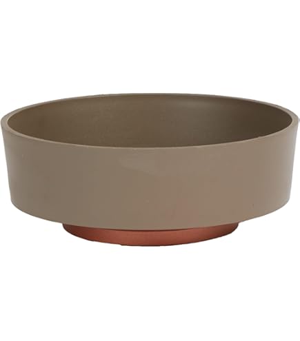 我谷風盆　約32cm×約22.5cm×約3.5cm Amazon.com: PSW Pot Collection M25TC 8 英吋(約20.3 公分)塑膠