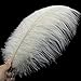 Coceca 10PCS White Ostrich Feathers 16-18inch 40-45cm for Wedding, Party, DIY
