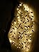 Qualizzi Starry Lights 80 ft XXX-Long /480 LEDs 2