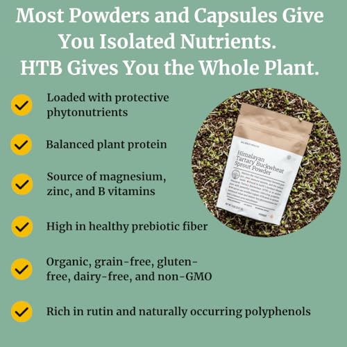 BIG BOLD HEALTH Himalayan Tartary Buckwheat Sprout Powder - Rich in Polyphenols & Prebiotic Fiber - Non-GMO, Gluten-Free, Grain-Free, Vegetarian - 30 Servings