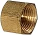 Anderson Metals 56108 Brass Pipe Fitting, Cap, 3/8" NPT Female Pipe primary