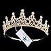 Santfe Bridal Wedding Prom Rhinestone Crystal Crown Hairband Headband Tiara Hair Jewelry for Womens Girls (style gold-2)
