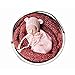 Fashion Newborn Boy Girl Baby Costume Knitted Photography Props Hat Sleeping Bag (Light Pink)