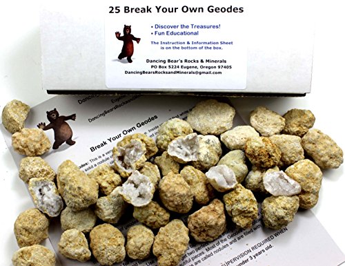 25 Break Your Own Geodes, 90% Hollow-Small ( 1-1.5') Crack Open & Discover Amazing Surprise Crystals Inside! Educational Info and Instructions Included, Fun Party Favors & Prizes, Dancing Bear Brand