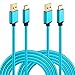 USB Type C Cable, HI-CABLE USB C to USB A Charger 2-Pack 10Ft Nylon Braided Fast Charging Cord for Samsung Galaxy S9/S8 Plus/Note 8, LG G6 G5 V20 V30, Google Pixel 2, Moto Z/Z2, Nintendo Switch (Blue)