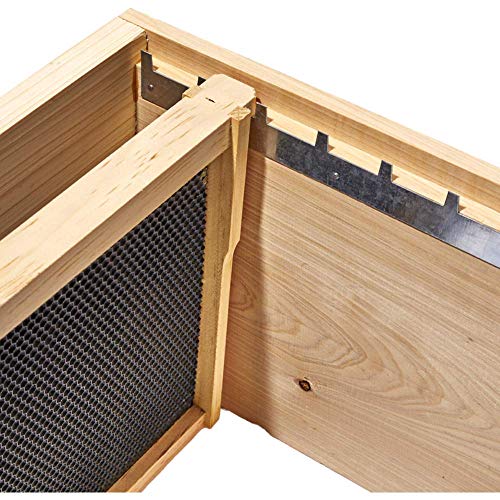 20 Pack Metal, Ten Frame Steel Beekeeping Spacers for Spacing Bee