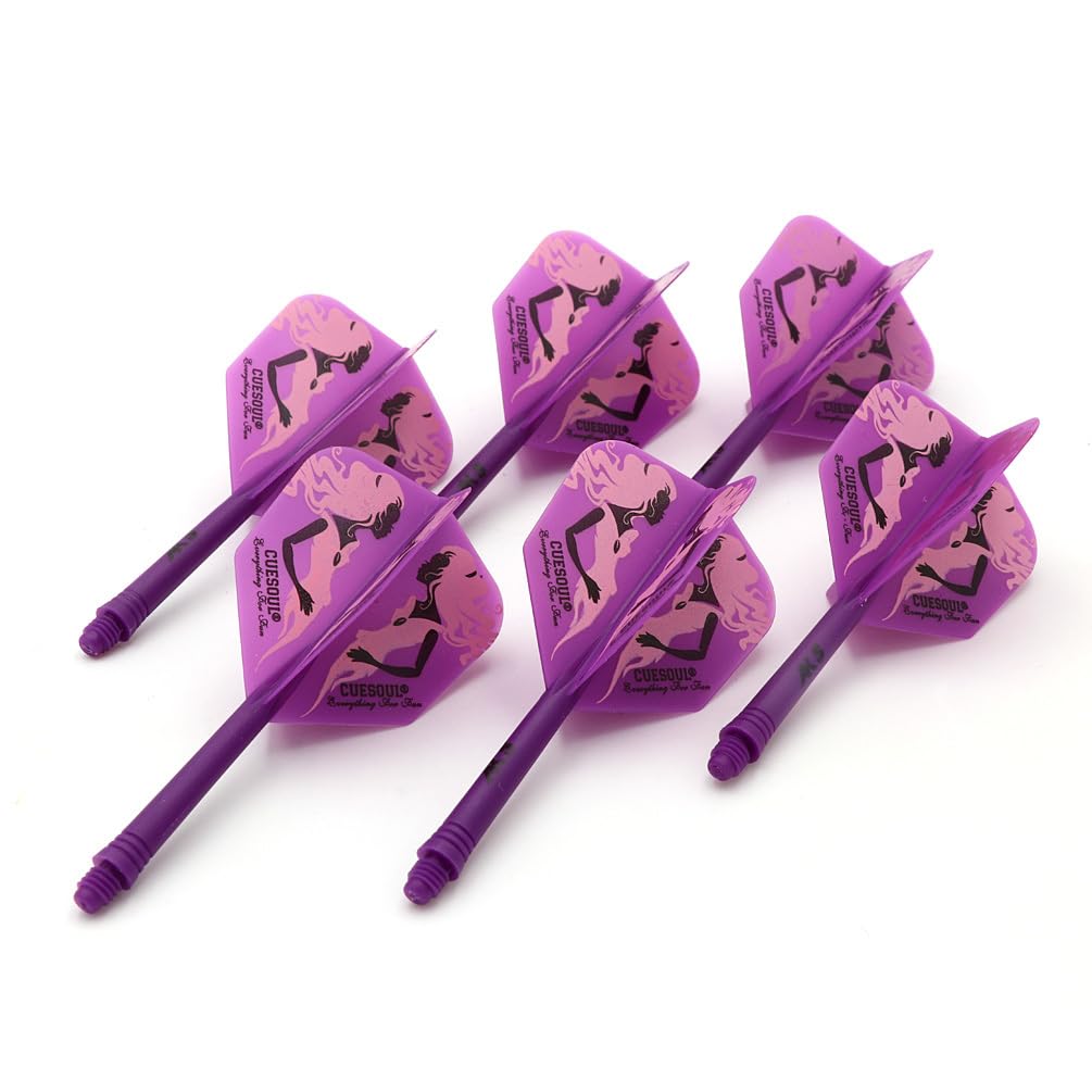 CUESOUL 6 Pieces ROST Integrated Dart Shaft and Flights,with exclusive pattern design