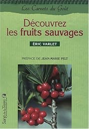 Découvrez les fruits sauvages