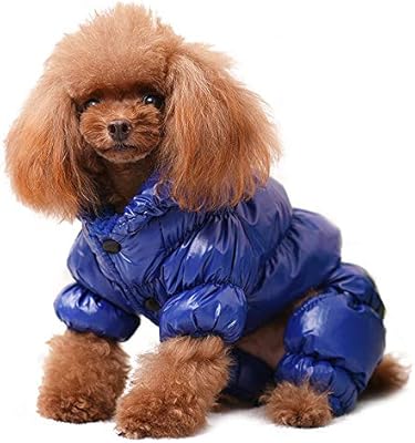 cute dog coats