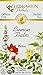 Lemon Balm Tea 24 Bags