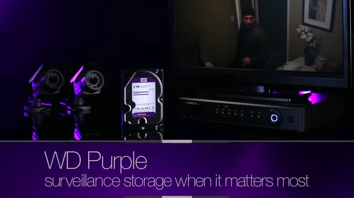6 Purple+Surveillance+Hard+Disk+Drive