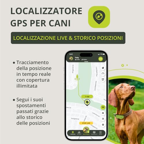 Kippy DOG | GPS for Dogs - Waterproof Dog Tracker with GPS for Collars - Activity Tracker and Health of Your Dog, with Virtual Fence and Notifications - Green