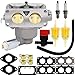 HOOAI 799230 Carburetor for John Deere L111 L118 L120 LA120 LA130 LA135 LA140 LA145 LA150 Briggs & Stratton 791230 699709 499804 Toro Carburetor - John Deere LA145 Carburetor (799230)