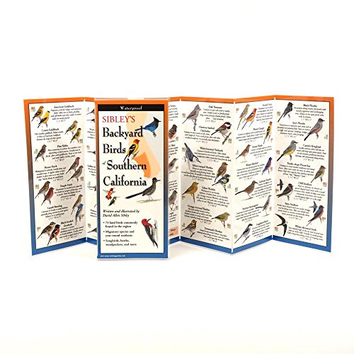 Sibley's Backyard Birds of Southern California - //medicalbooks.filipinodoctors.org