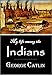 My Life Among the Indians (1909)