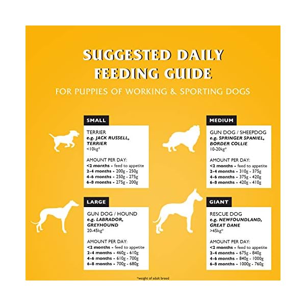 Gilbertson-Page-Dr-John-Puppy-10kg-mustard Gilbertson & Page Dr John Puppy 10kg