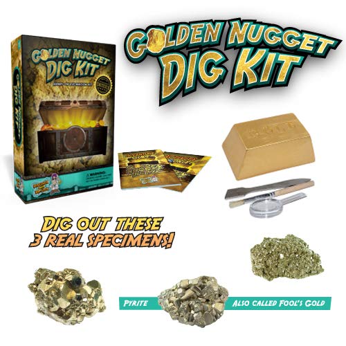 Discover with Dr. Cool Golden Nugget Dig Kit - Excavate Real Specimens!