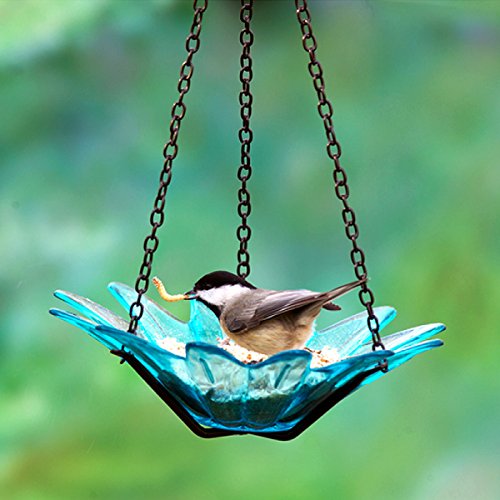 Romantic Decor and More Glass Daisy Birdbath 8 in. G290VF Aqua Transparent Wild Bird Feeder, Colored Birdseed Bowl