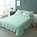 Auvoau Simple Cactus Bedding Children's Cartoon Duvet Cover Set Girl Bedding Set Green Cactus Reversible Duvet Cover Set 4PC (Queen, 1)