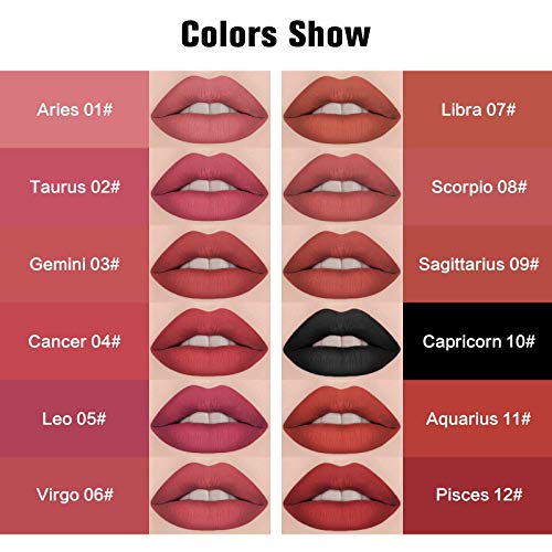 12Pcs Astrology Matte Liquid Lipstick Set Long Lasting Waterproof Red and Black Lip Gloss Makeup